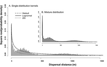Seed Dispersal - different seeds