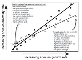 A schematic illustration of the predicted interspecific relationship between species’ growth & mortality rates